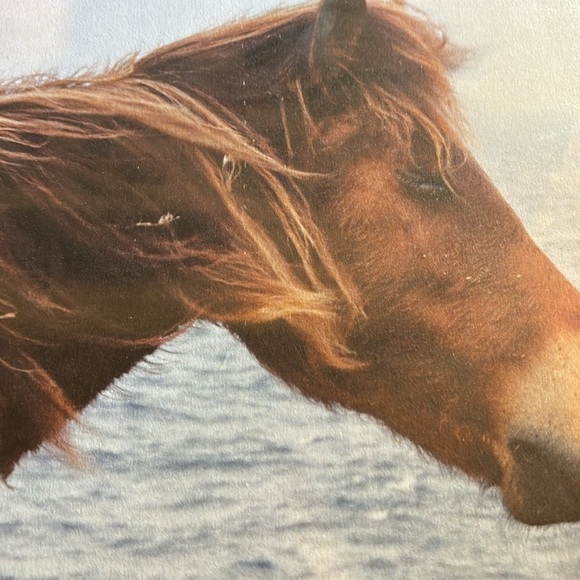 - Charlotte Dumas: Work Horse art book - Picture 3 of 4